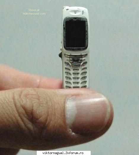 25 - long long way - poza 4. telefon - Maslina saptamanala
