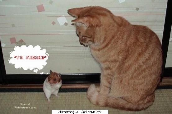 poza 2 - o zi grea maslina nr 6 - chill and relax