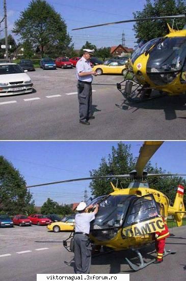 maslina nr. better later than never poza garcea tupeu maxim