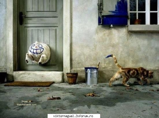 maslina overdose poza real life garfield